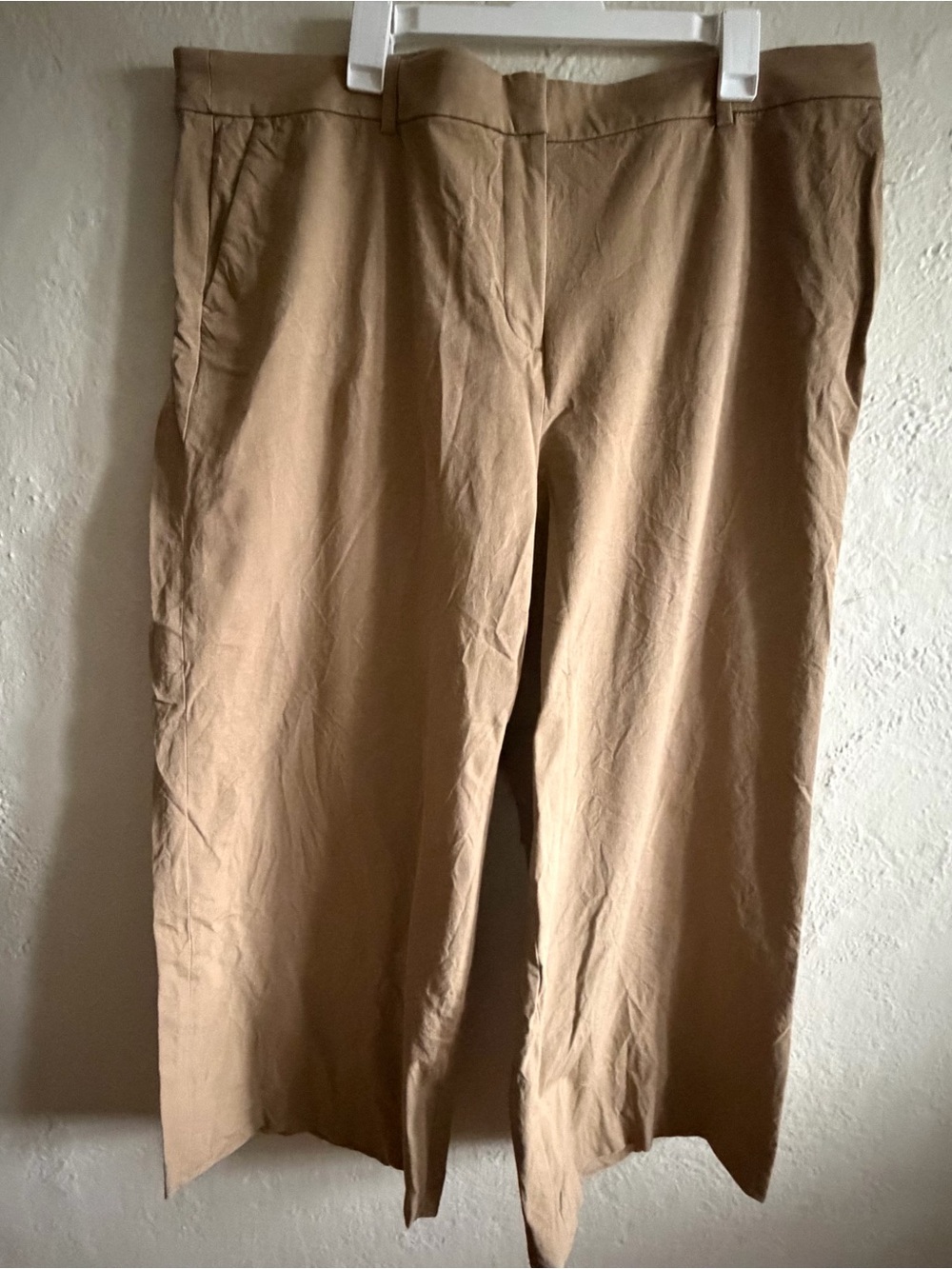 J. Crew Women's Remy Wide-Leg Pants in Tan